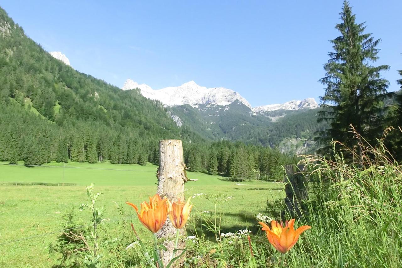 Hotel Garni Landhaus Buertlmair 茵特斯托德 外观 照片